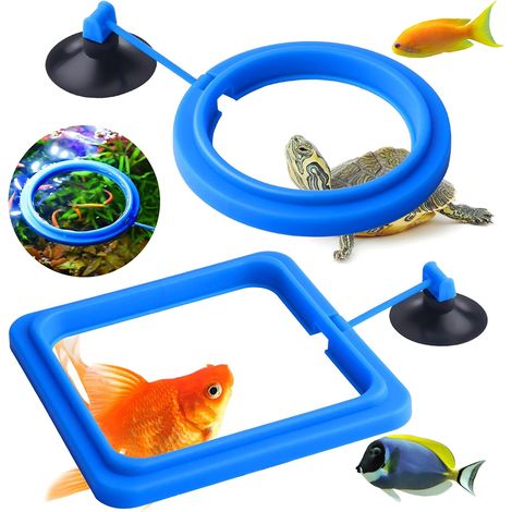 Lntyq Futterring für Fische, 2 Stück, Zubehör für Aquarienfische und Schildkröten, Futterkreis für Guppys, Bettas, Goldfische und Schildkröten (blau) (1/5)