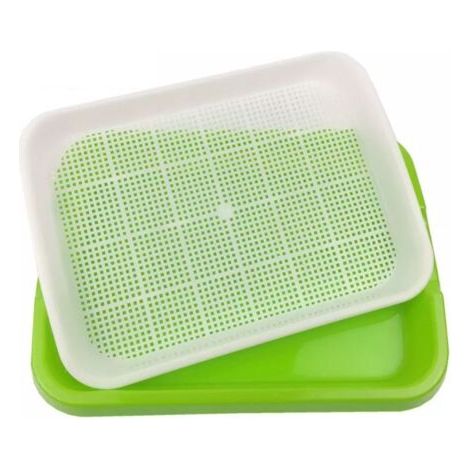 Plateau de germination de graines, Double couche, sans sol, pour Culture hydroponique, fournitures de jardin, boîte de pétri domestique (1/5)