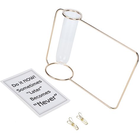 Vases suspendus innovants en forme de tube à essai transparent pour plantes hydroponiques d'intérieur, couleur or