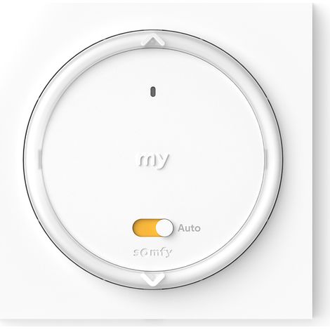 SOMFY 1871080 - Amy 1 Modes io - Améliore le confort thermique de l'habitat