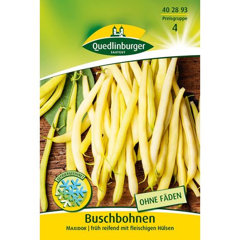 Quedlinburger Buschbohnen Maxidor - Gemüsesamen (1/2)