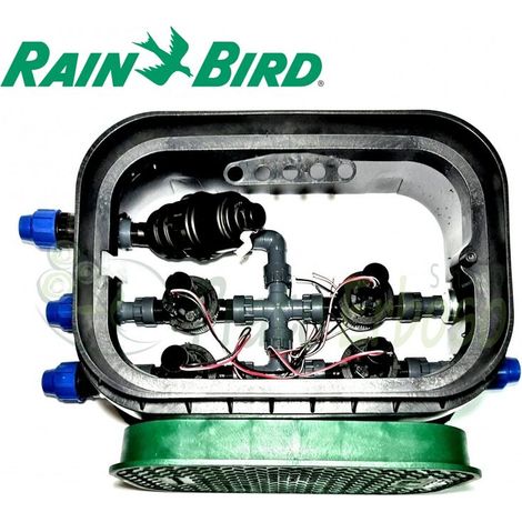 Rain Bird – PA100HVF4 – Programmateur arrosage 1" à 4 zones – Collecteur PVC 10 bar – Électrovannes filetées 1" pour entretien facile