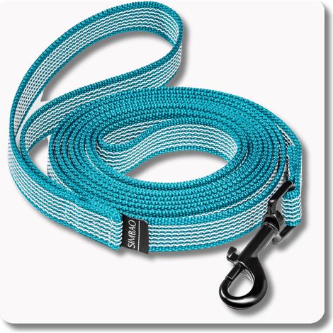 Correa antideslizante color TURQUESA - 3m, 76MM - perro 10-25kg (1/5)
