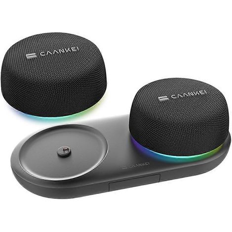 CAANKEI Bluetooth petit haut-parleur, avec Loud HD son et Robust basse, pour maison, Sports sans fil Speakers 1 paires (1/5)