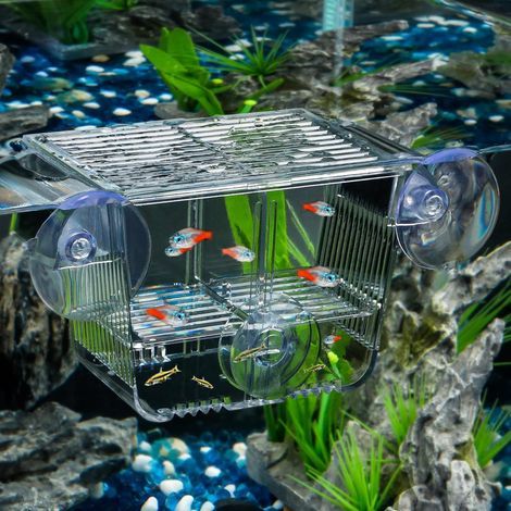 Acrylic Aquarium Incubator, 6 Suction Cups, 3 Compartments, For Fry and Aggressive Fish (1/5)