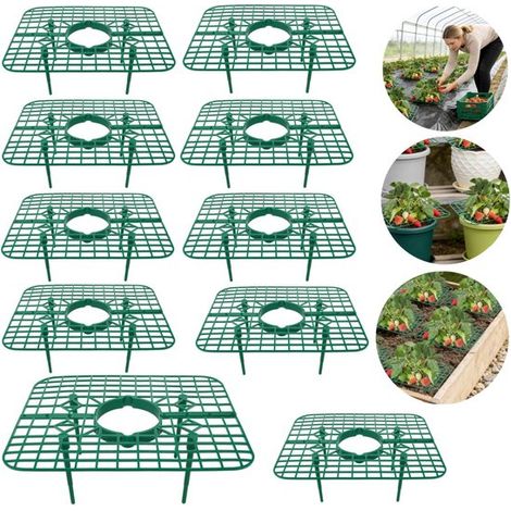 10 supports pour plantes Support à fraises Support pour jardinières Support anti (vert 2025 cm) (1/5)