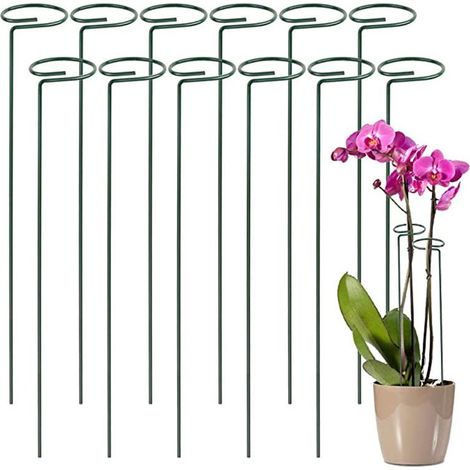 Kit 12 Tuteur Plante Supports pour Plantes Grimpantes et Fleurs Tuteur Vert Aidez Vos Fleurs à Pousser Tuteurs Tomates Jardin Pieux à Orchidées, Amaryllis, Pivoines, Poivrons et Plus (1/5)