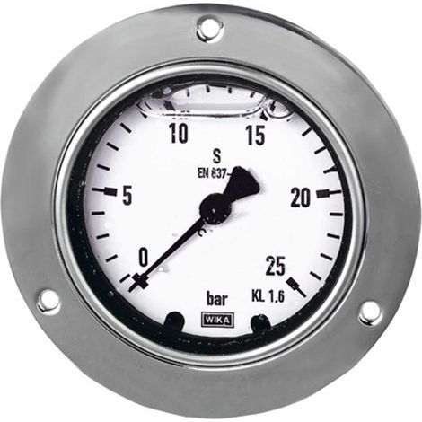 Riegler Glyzerinmanometer, Frontring, G 1/2 hinten exzentr., 0-60,0 bar, Ø 100 (1/2)