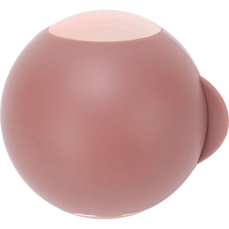 Boule anti-peluches réutilisable, rouleau nettoyant lavable pour poils d'animaux, chat chien, portable voyage maison, pâte de haricot rouge or (1/5)
