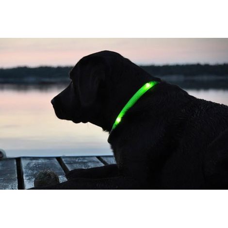 Collar ajustable LED para perros y gatos diferentes colores y tamaños  Verde - L