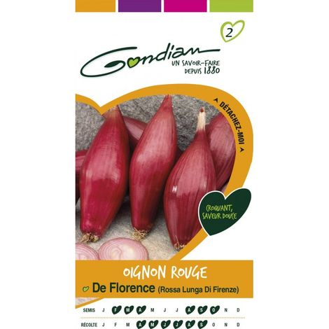 Gondian - Oignon Rouge De Florence