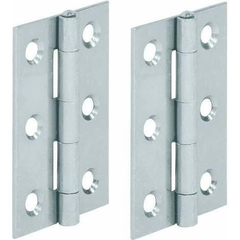 – Lot de 2 charnières plates en acier 50 x 39 mm – Pour meubles en bois – Charge maximale 30 kg – Pour portes de placard et étagères de cuisine (1/2)