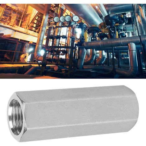 Innengewinde-Sechskant-Rückschlagventil gemäß britischem Standard BSPP, hergestellt aus Edelstahl 304, für hohe Temperaturen und hohe Drücke. (1/5)