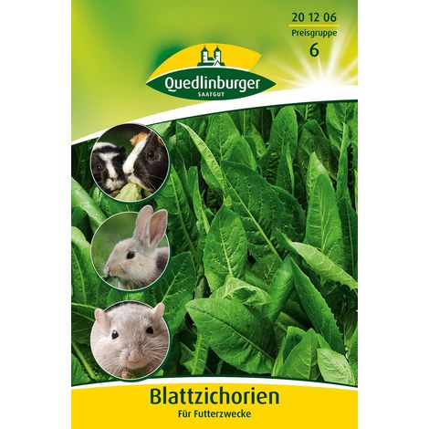 Quedlinburger Blattzichorien für Futterzwecke - Gemüsesamen (1/2)