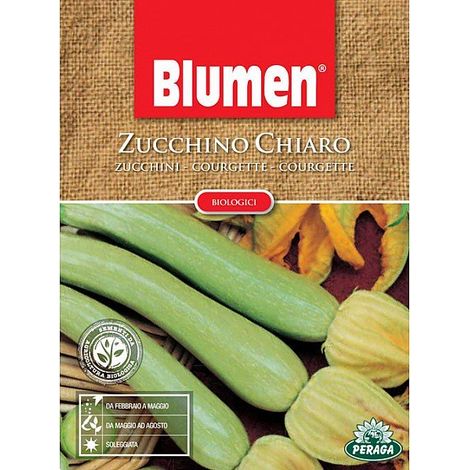 SEMI DI ZUCCHINO CHIARO BIOLOGICA