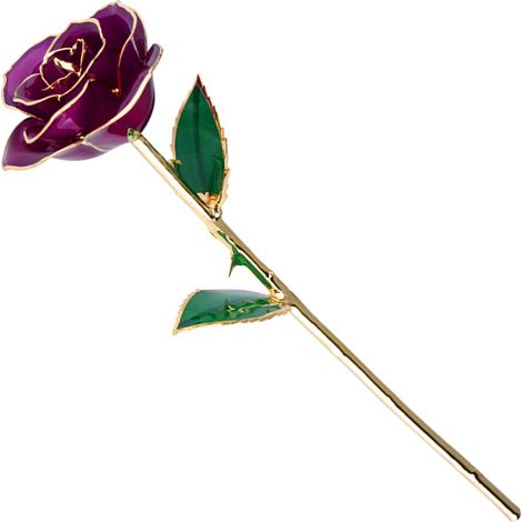 Rose Éternelle Plaquée Or 24K - Idée Cadeau Luxe pour Anniversaire, Fiançailles ou Événement Spécial (1/5)