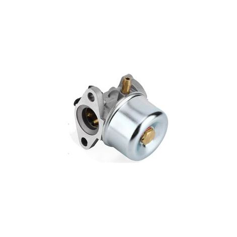 Kit de remplacement pour carburateurs Briggs & Stratton – avec joints toriques (1/5)