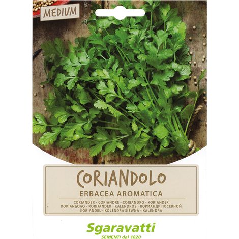 Semi per Ortaggi e Vegetali Coriandolo Sgaravatti 10 Pezzi