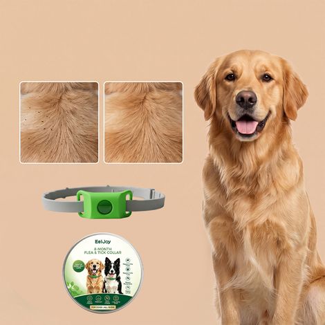 Collier anti-puces et tiques imperméable pour chiens, efficace contre les puces et les tiques - 1 pièce (1/5)