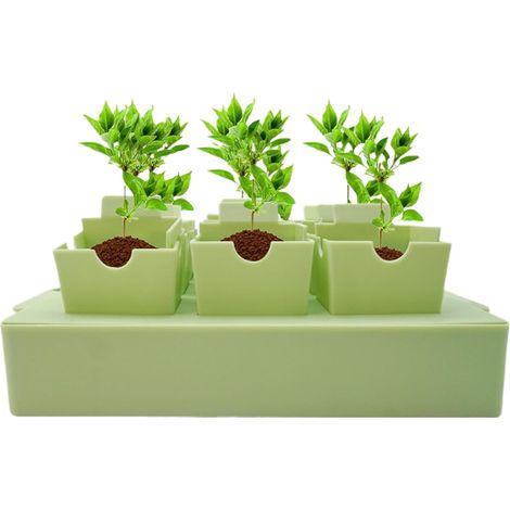 Plateaux de Réutilisables Plateaux de à Repiquage Jardinage Intérieur Extérieur, Potager, Massifs Fleuris (1/5)