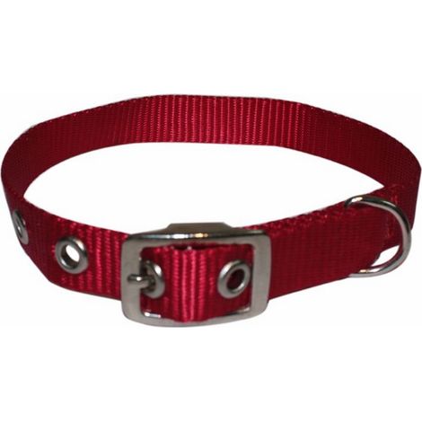 Collare in Nylon per Cani di Piccola Taglia 15x400 mm colori assortiti (1/2)