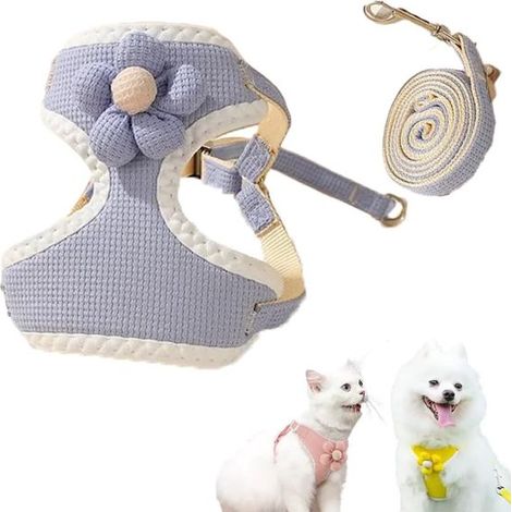 Harnais pour chien - Harnais pour petit chien - Harnais anti-traction - Harnais en Y - Harnais pour animaux - Harnais d'évasion pour chat - Harnais ajustable pour chiens de petite et moyenne taille (b (1/3)