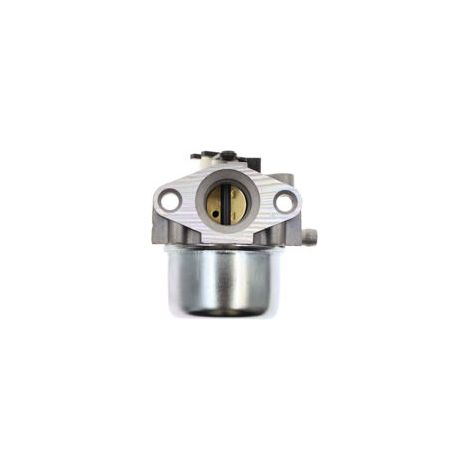 Carburateur S-giant compatible avec le carburateur BriggsStratton 799866 790845 799871 (TORO Craftsman).