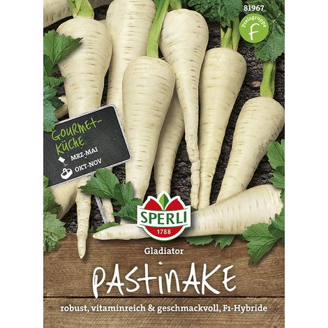 Sperli – Panais Gladiator F1 (Pastinaca sativa) – Graines de légumes, longues racines blanches, hauteur env. 25 cm (1/2)