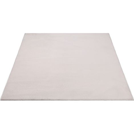 FLOORNOVO Hochflor Teppich Beige einfarbig - 340 x 240 cm - Besonders Weicher Teppich Wohnzimmer & Badezimmerteppich - Pflegeleicht - vielseitig einsetzbar im Innenbereich (1/2)