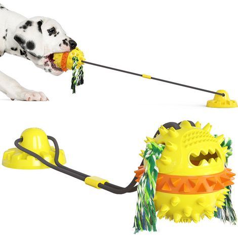 Jouet à mâcher pour chien avec ventouse, jouet interactif pour chien avec balle, chien