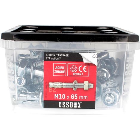 ESSBOX de 50 Goujons D'Ancrage 10X65 Acier (1/2)