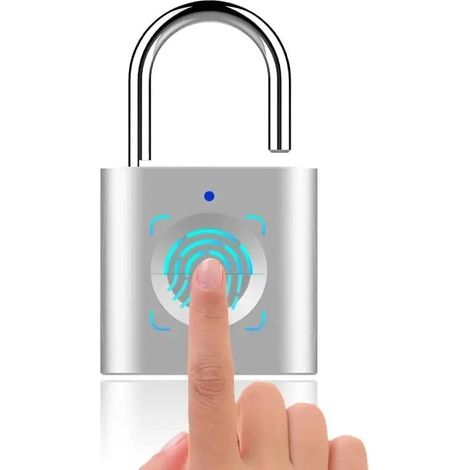 Cadenas avec empreinte digitale, clé et application - Grande serrure étanche pour porte, garage, école, entrepôt (1/3)