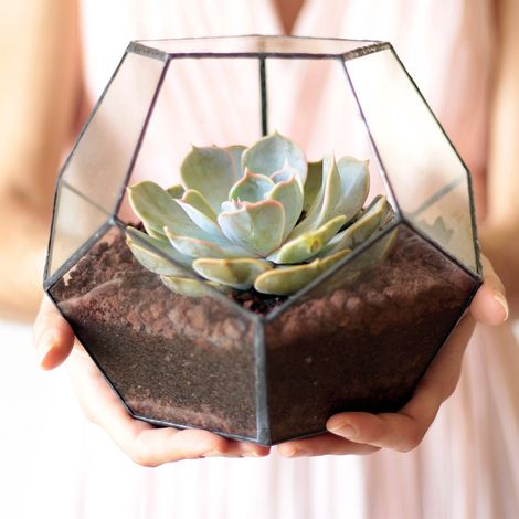 Serres en verre géométriques pour plantes succulentes, pots de fleurs de serre, bouteilles miniatures en verre pour paysages (1/5)