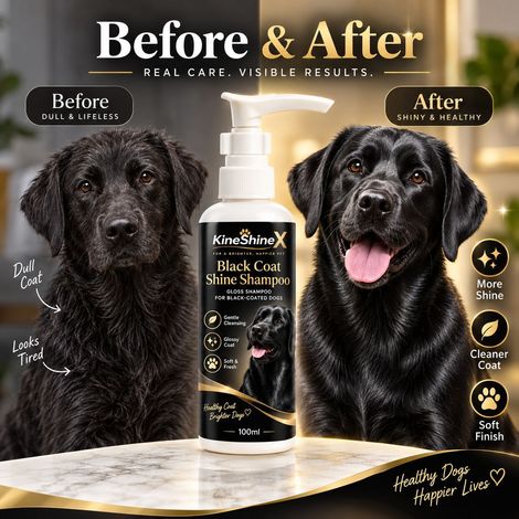 KineShineX Black Dog Shine Shampoo hilft, den Glanz des schwarzen Fells zu verbessern. (1/4)