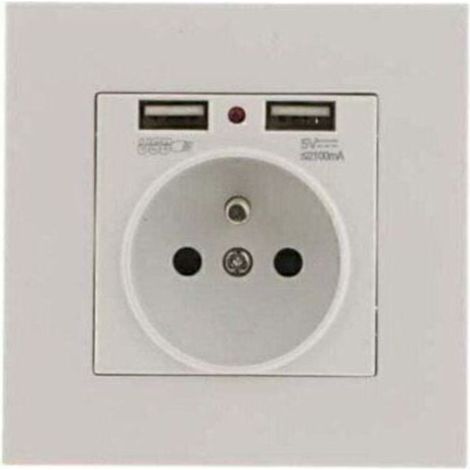 Lot de 2 Prises Murales, Prise Electrique Murale avec Double USB 5V/2100mA, Prise Encastrable avec 2 Ports de USB Pratique et Manialble