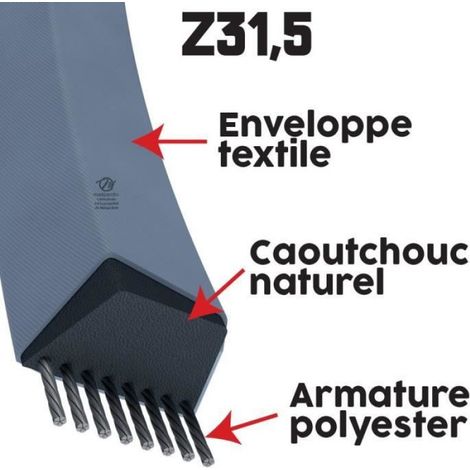 Courroie tondeuse Z31,5 Trapézoïdale - 10 mm x 838 mm (1/4)