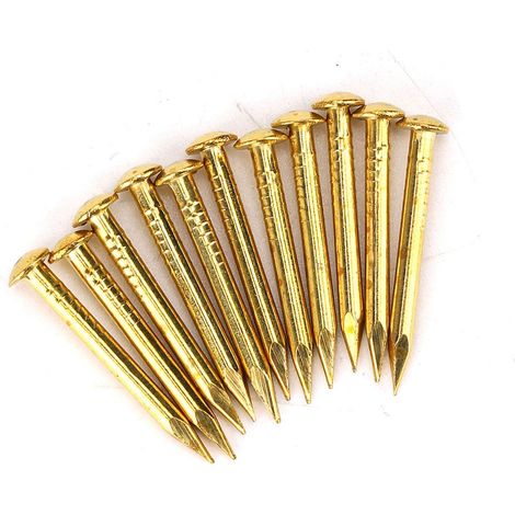 100 Clous à Tête Ronde en Laiton pour Fixation de Charnières, Quincaillerie de Meubles 10-22mm (1/5)