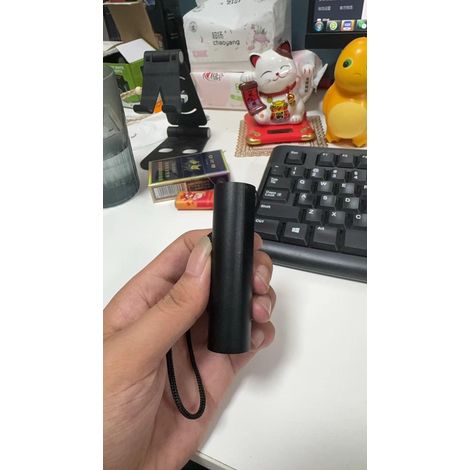 Lampe torche UV 365 nm pour la détection de champignons chez les animaux domestiques, lampe de détection UV portable et rechargeable pour l'identification de pièces de monnaie et la détection d'agents (1/2)