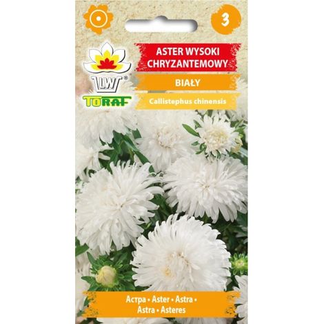 Aster, crisantemo bianco alto 1g