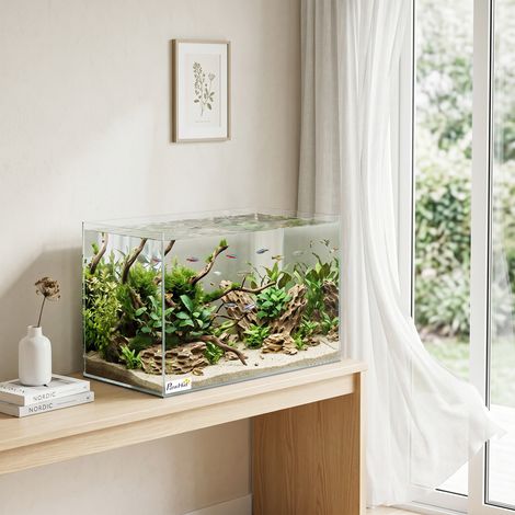 Aquarium 43L verre trempé 50x30x30 cm avec tapis antidérapant pour poissons, crevettes, tortues, réservoir transparent pour maison, bureau, décoration aquatique. (1/5)