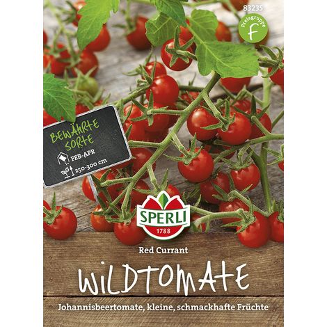 Sperli – Tomate cerise Red Currant – Graines de légumes, hauteur env. 250-300 cm (1/2)