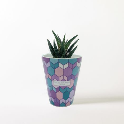 Pianta grassa vera in vaso ceramica artigianale Hula-Hop Alto - Lilla