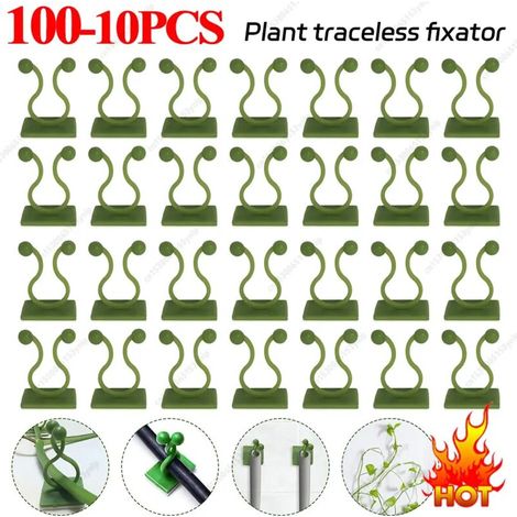 (20 pièces) Clips de fixation pour plantes grimpantes, crochets de fixation pour lianes et rotin, tuteurs auto-adhésifs invisibles pour plantes grimpantes. (1/5)