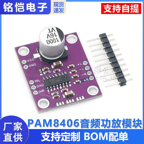 PAM8406 Interference-Free Stereo Class D Audio Amplifier Module Development Board (1/5)