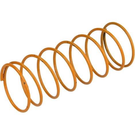 Dungs Set de ressort de réserve 1 or 5-20mbar Rp 1