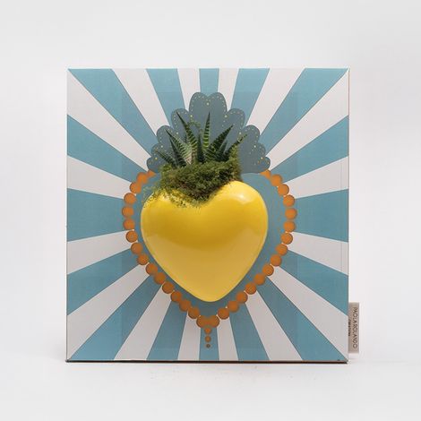 Pianta grassa succulenta in cuore ceramica Made in Italy Cuore Radiale - Turchese