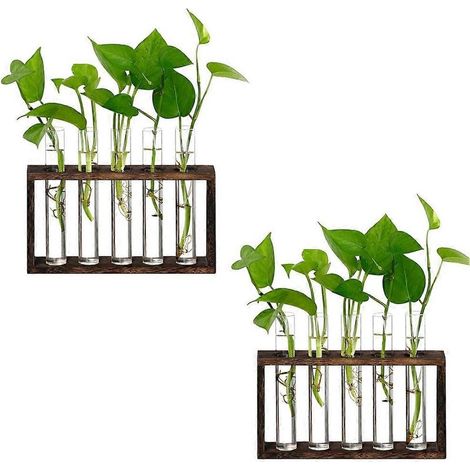 Terrarium mural en verre avec support en bois, composé de 5 tubes, pour la propagation de plantes hydroponiques. Pot de fleurs de bureau ou de table. (1/5)