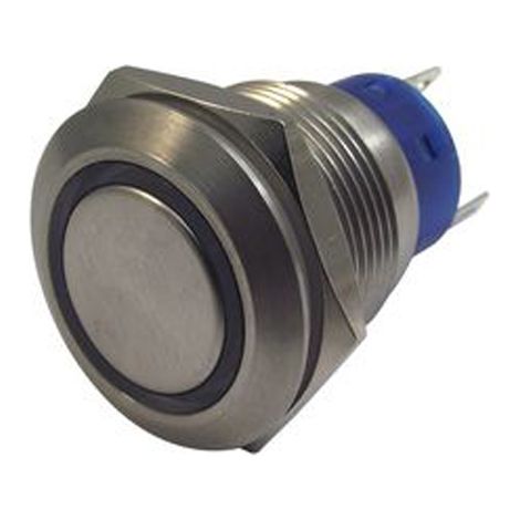 Bouton-poussoir, Momentané lumineux, LED Vert, Unipolaire à deux directions (1RT), 5 A, Argent, Montage panneau 24V ( Prix pour 1 )