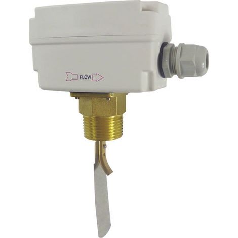 Flussostato regolabile per liquidi 1"M ottone IP65 24–250 Vac (1/2)