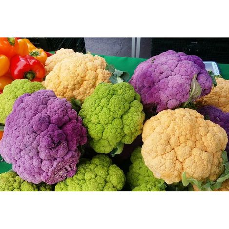 Graines Chou-Fleur Anciennes 500 – Semences Légumes Mix pour Jardin et Culture Facile (1/5)